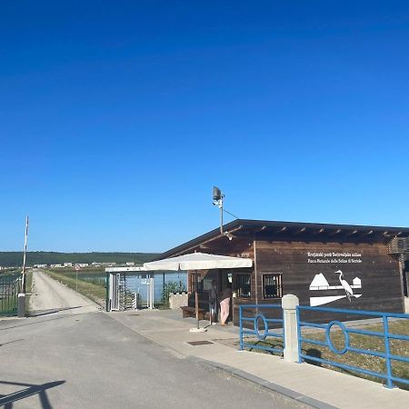 Apartments Edwina Portorož Eksteriør billede